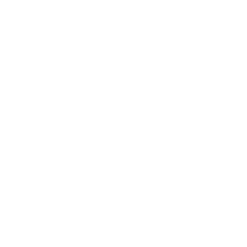 mmsoft Logo